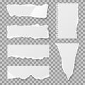 Blank torn paper with bends and tears. Vector set