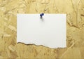 Blank torn paper frames, reminder pin with colored push pins to wooden wall Royalty Free Stock Photo