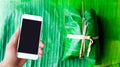 Blank touchscreen holding in hand with bundle of bananas with Sticky Rice on banana leaves concept for using smart device to find