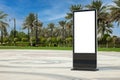 Blank Trade Show LCD Screen Stand Display Billboard as Template for Your Design in Empty City Street with Palm Trees. 3d Rendering