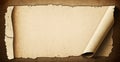 Blank treasure map scroll with torn edges