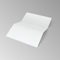 Blank trifold paper brochure.