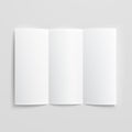 Blank trifold paper brochure.