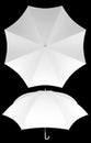 8 rib blank umbrella template isolated