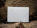 Blank vintage card lies on rough tree bark Royalty Free Stock Photo