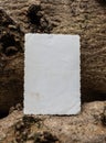 Blank vintage card lies on rough tree bark Royalty Free Stock Photo