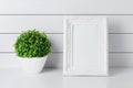 Blank vintage photo frame with green home plant at white vase on white wooden background Royalty Free Stock Photo