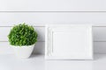 Blank vintage photo frame with green home plant at white vase on white wooden background Royalty Free Stock Photo