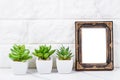 Blank vintage photo frame on wall with cactus plant Royalty Free Stock Photo