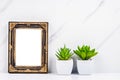 Blank vintage photo frame on wall with cactus plant Royalty Free Stock Photo