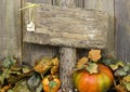 Blank weathered wood sign with autumn border of leaves and pumpkins Royalty Free Stock Photo