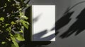 blank white book cover standing upright under dramatic studio lighting Royalty Free Stock Photo