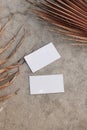 Blank white business cards mockups and dry brown palm leaves on textured table backgound. Elegant modern template for Royalty Free Stock Photo