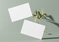 Blank white business cards with small sprig on pastel green background. Natural mockup for branding identity. Two cards