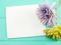 Blank white card and artificial gerbera flower valentines day on green background