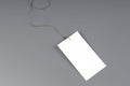 A blank white card attached to a fish hook Royalty Free Stock Photo