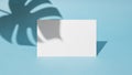 Blank white card casting shadow on light blue background with leaf shadow Royalty Free Stock Photo
