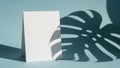 Blank white card casting a shadow from a monstera leaf on a blue background Royalty Free Stock Photo