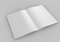 Blank white catalog, magazines,book mock up on wood background. Royalty Free Stock Photo