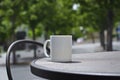 A blank white coffee mug in the park Royalty Free Stock Photo