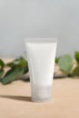 Blank white cream tube and eucalyptus twig. Royalty Free Stock Photo