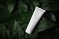 blank white cream tube on wet green leaves. copy space Royalty Free Stock Photo