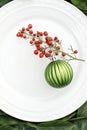 Blank White Dish with Red HollyGreen ornament on white plate