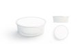 Blank white disposable food container mockup set Royalty Free Stock Photo