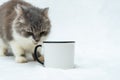 A blank white enamel mug with a cat snuffing out its handle on the white background Royalty Free Stock Photo