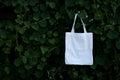 Blank white fabric cloth bag tote at green bush trees foliage Background Royalty Free Stock Photo