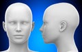 Blank White Female Head - Side and Front view 3D illustration