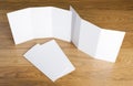 Blank white folding paper flyer