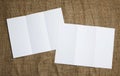 Blank white folding paper flyer