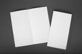 Blank white folding paper flyer Royalty Free Stock Photo