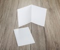 Blank white folding paper flyer