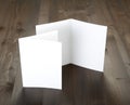 Blank white folding paper flyer