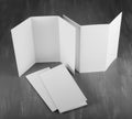 Blank white folding paper flyer