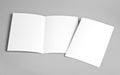 Blank white folding paper flyer