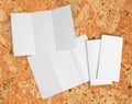 Blank white folding paper flyer