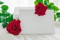 Blank white frame with gift box and red rose flowers on knitted Royalty Free Stock Photo