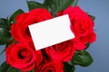 Blank white gift card on a bed of red rose petals, ready for your message. Royalty Free Stock Photo