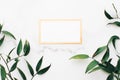 Blank white and gold card, green leaves on white background as botanical frame flatlay, wedding invitation and branding