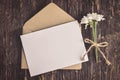 Blank white greeting card with brown envelope Royalty Free Stock Photo