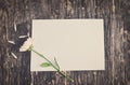 Blank white greeting card with Mum flowers Royalty Free Stock Photo