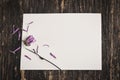 Blank white greeting card with Mum flowers Royalty Free Stock Photo