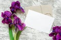 Blank white greeting card with purple iris flowers bouquet and envelope Royalty Free Stock Photo