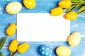 Blank white greeting card wirh Easter colored eggs and yellow tulips on blue wooden background Royalty Free Stock Photo