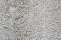 Blank white grunge cenent wall, texture background Royalty Free Stock Photo