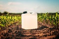 Blank white herbicide canister can in corn seedling field in springtime sunset Royalty Free Stock Photo