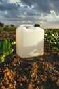 Blank white herbicide canister container in sugar beet seedling field in springtime sunset Royalty Free Stock Photo